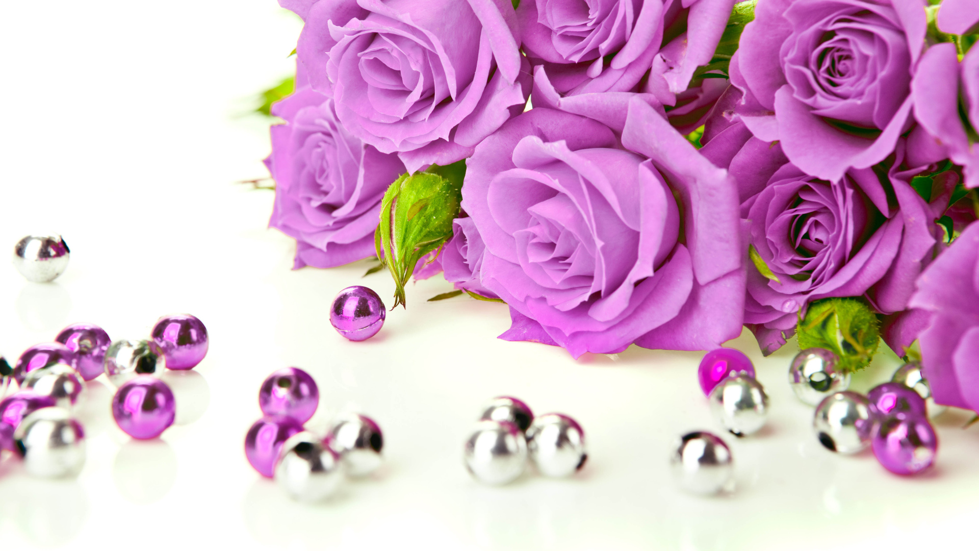 2018Nature Flowers Lilac roses with beads on a white background 129363 23